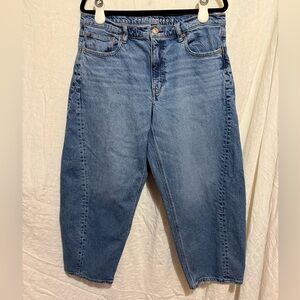 American Eagle Outfitters Medium Blue Barrel Leg Jeans